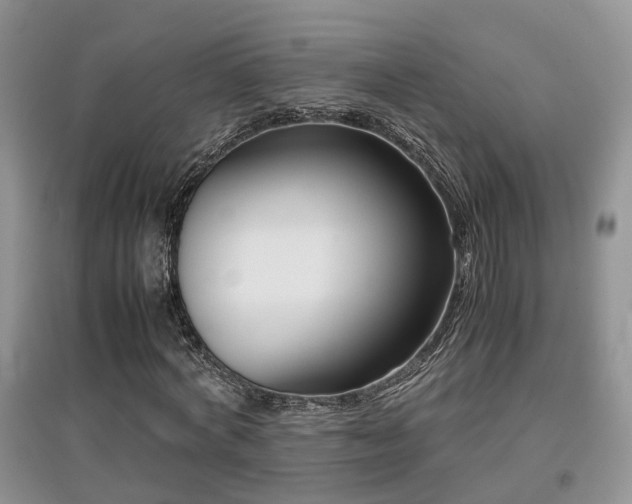 X0000097920772200803141440