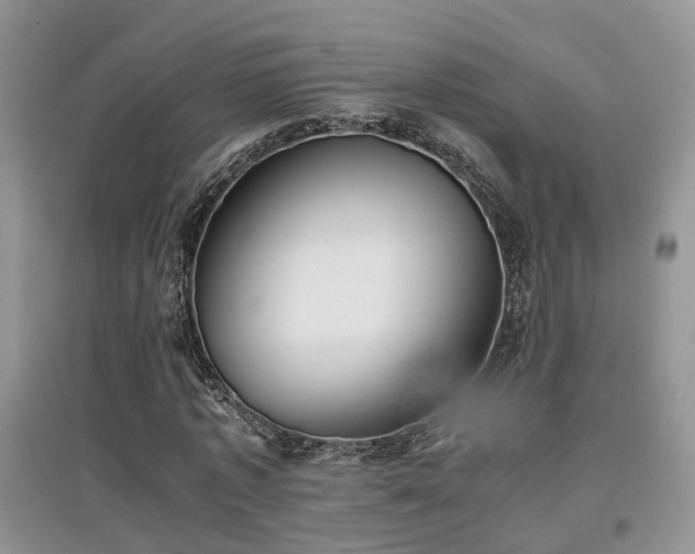 X0000097920773200803141440