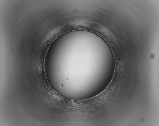 X0000097920774200803141440