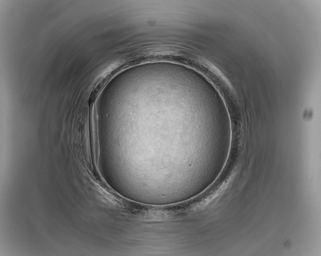 X0000097920777200803141440