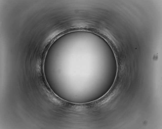 X0000097920778200803141440