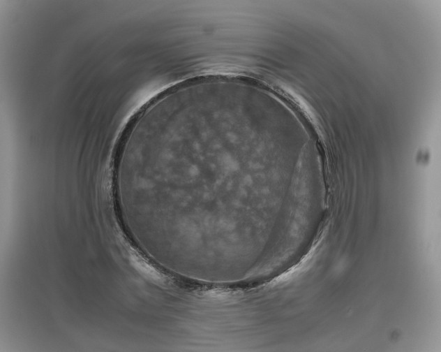 X0000097920779200803141440