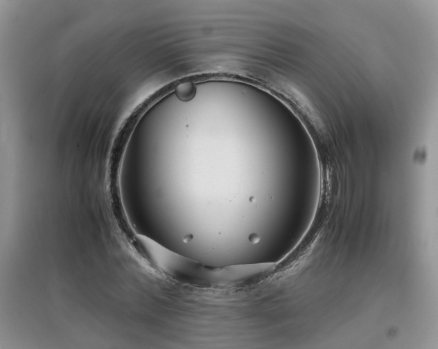 X0000097920780200803141440