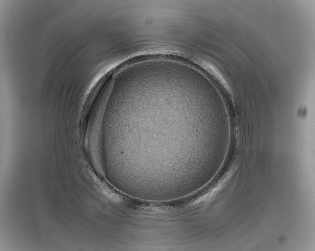 X0000097920781200803141440