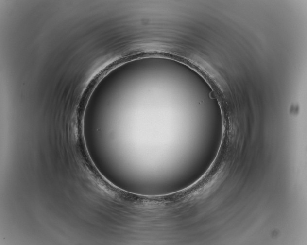 X0000097920782200803141440