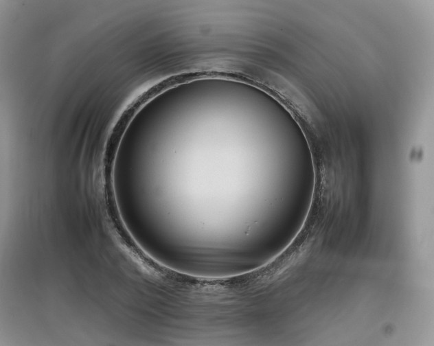 X0000097920784200803141440