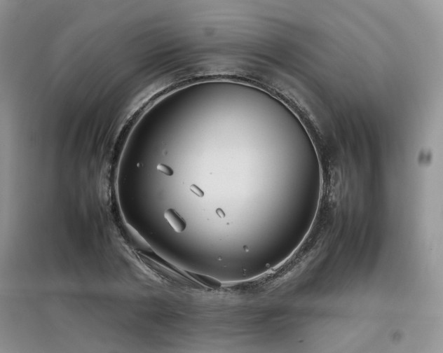 X0000097920786200803141440