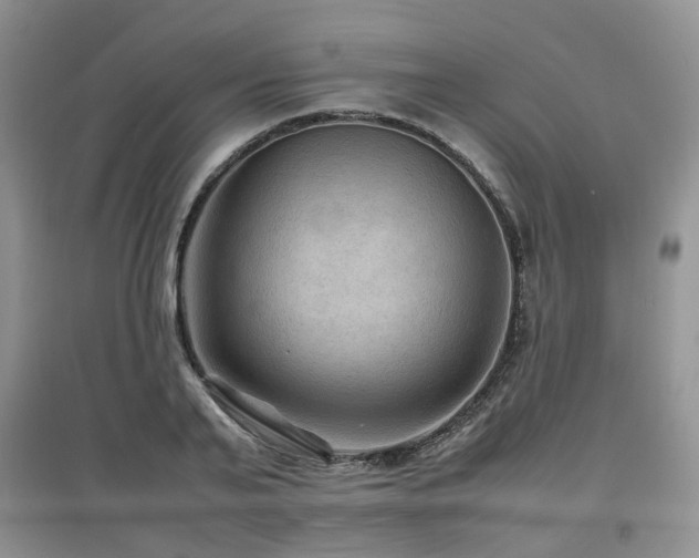 X0000097920791200803141440