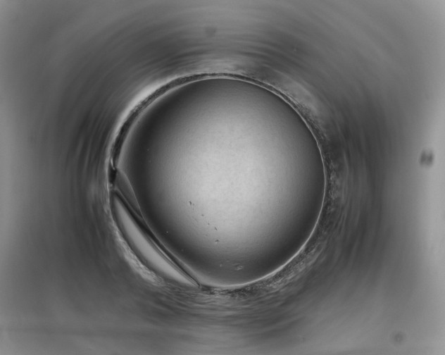 X0000097920792200803141440