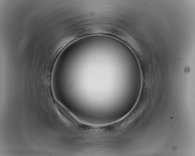 X0000097920793200803141440