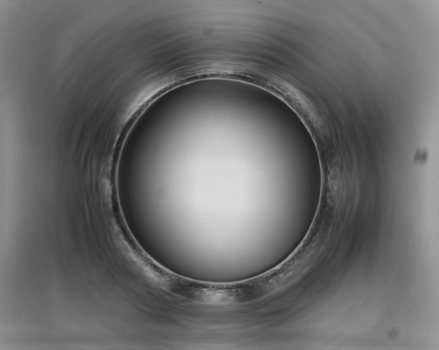 X0000097920794200803141440
