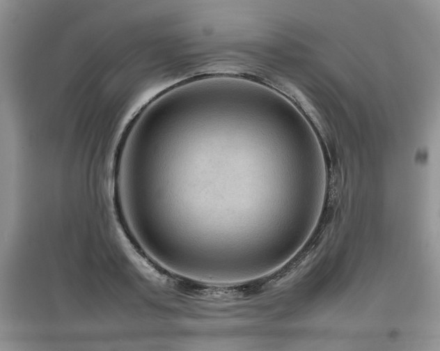 X0000097920795200803141440