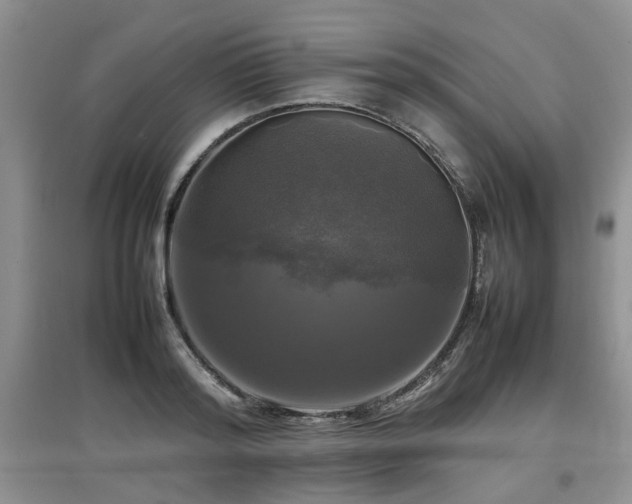 X0000097920796200803141440