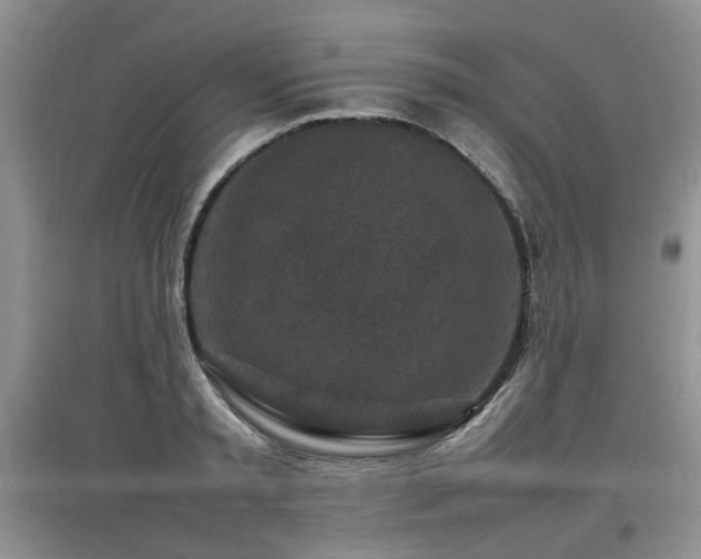 X0000097920797200803141440