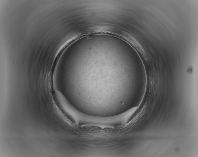 X0000097920798200803141440