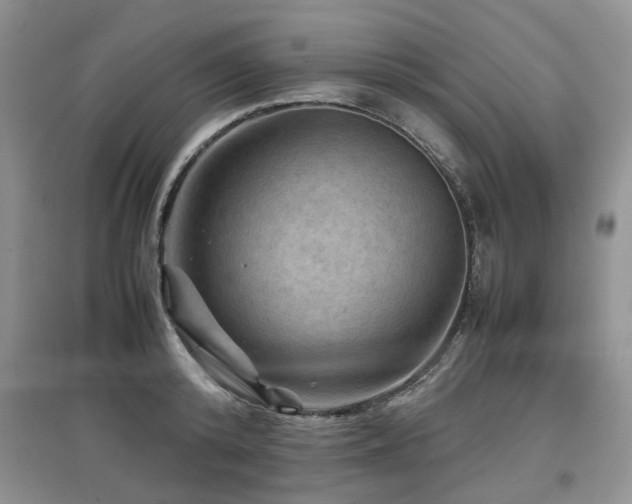 X0000097920800200803141440