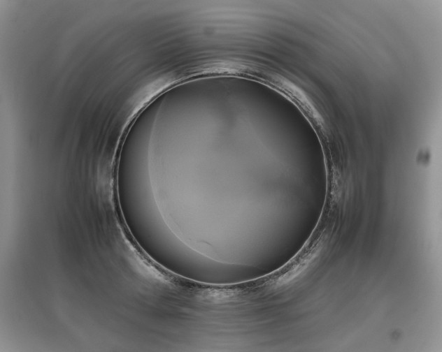 X0000097920802200803141440