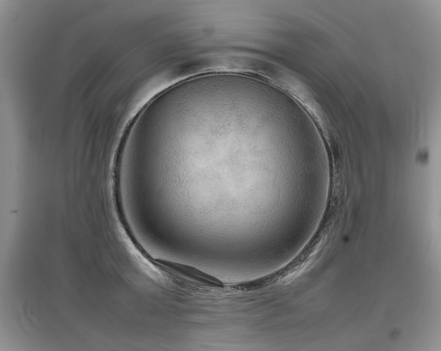 X0000097920803200803141440