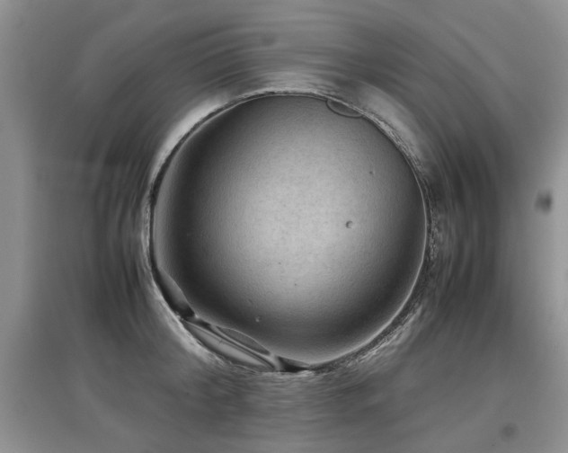 X0000097920804200803141440