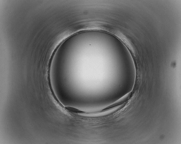 X0000097920805200803141440