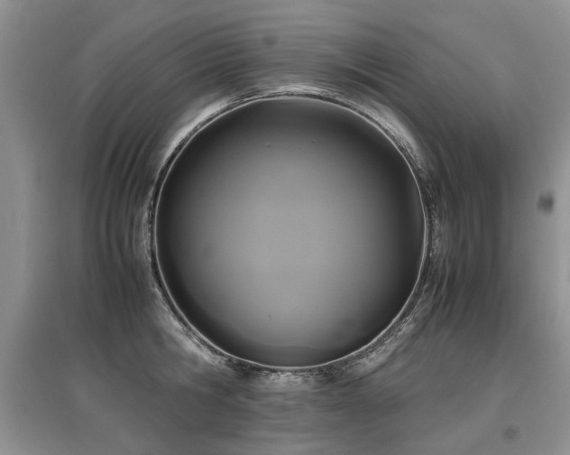 X0000097920806200803141440