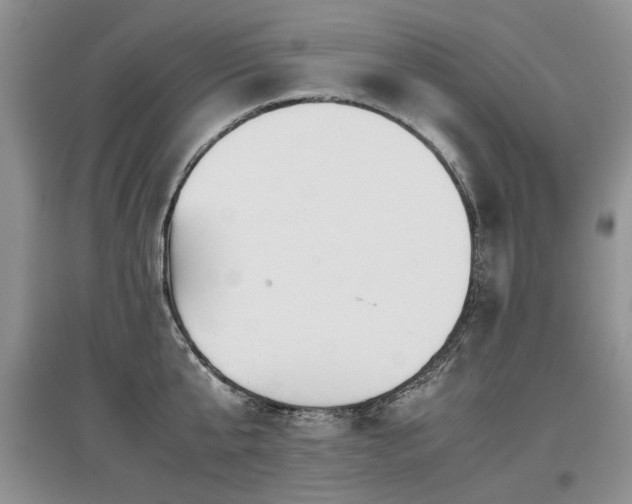 X0000097920807200803141440
