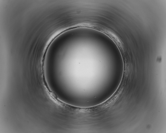 X0000097920808200803141440