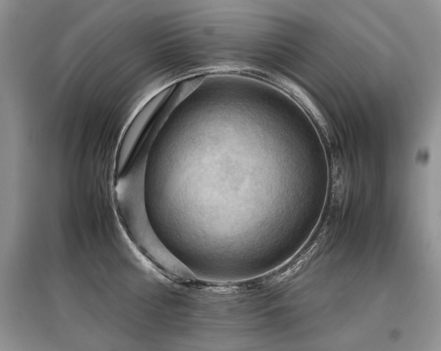X0000097920810200803141440