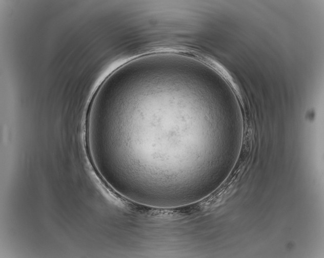 X0000097920811200803141440