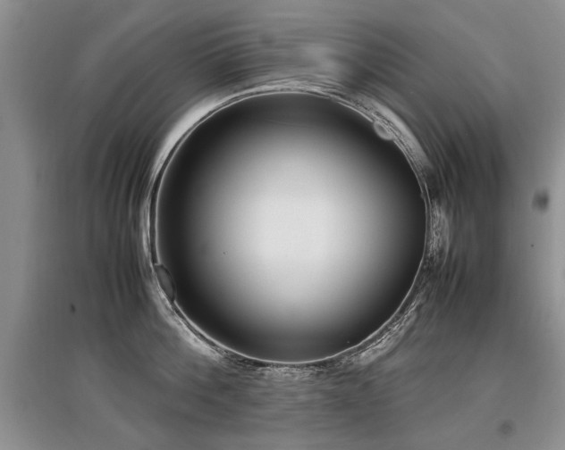 X0000097920812200803141440
