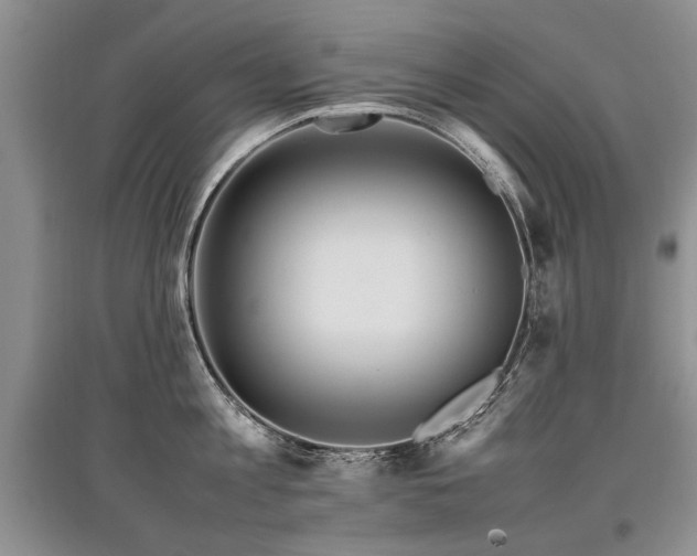 X0000097920813200803141440