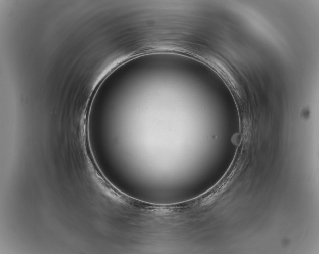 X0000097920814200803141440