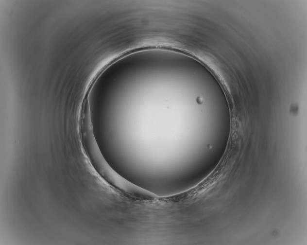 X0000097920815200803141440