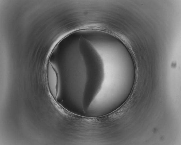 X0000097920816200803141440