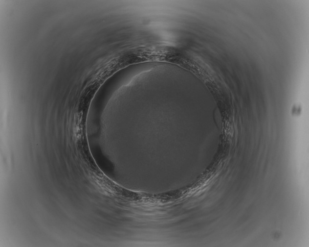 X0000097920818200803141439