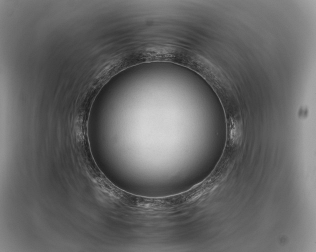 X0000097920819200803141439