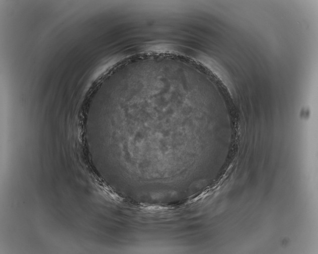 X0000097920823200803141439
