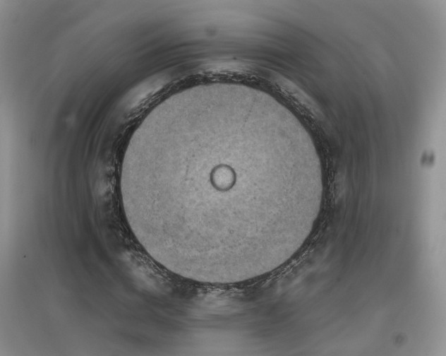 X0000097920824200803141439