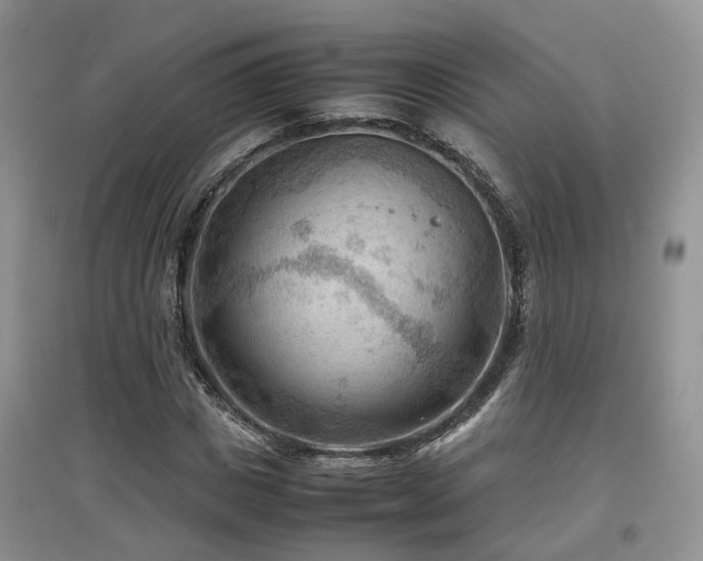 X0000097920825200803141439