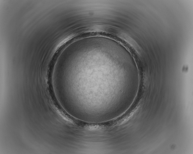 X0000097920826200803141439
