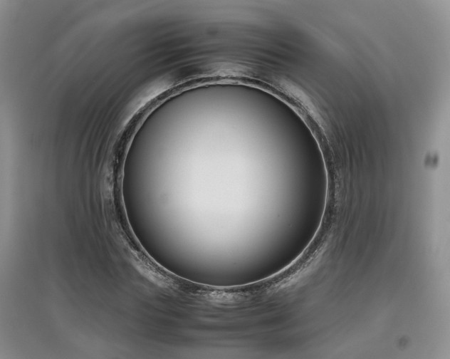 X0000097920827200803141439