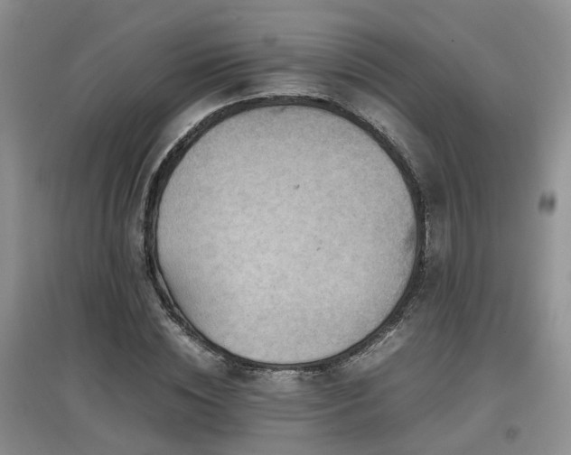 X0000097920828200803141439