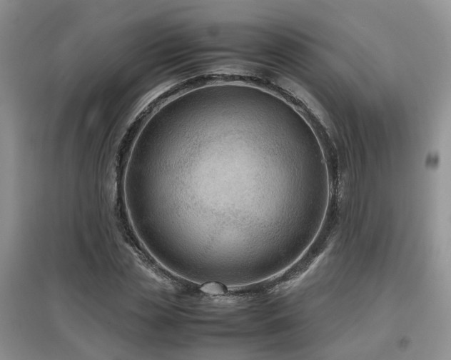 X0000097920829200803141439