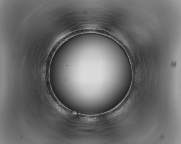 X0000097920831200803141439