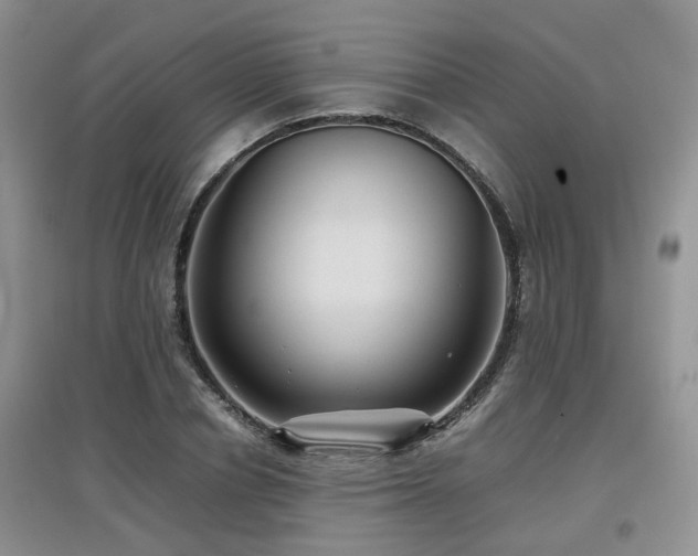 X0000097920834200803141439
