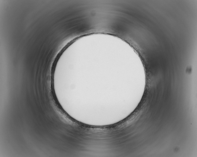 X0000097920836200803141439