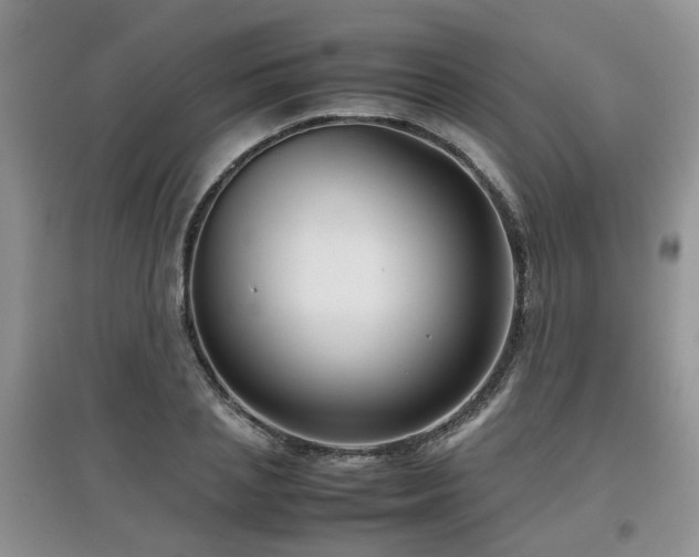 X0000097920837200803141439