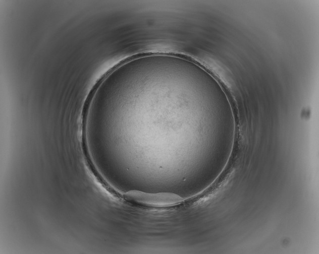 X0000097920839200803141439