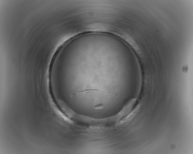 X0000097920840200803141439