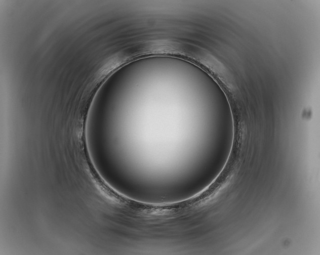 X0000097920841200803141439
